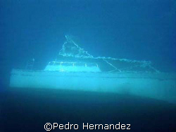 Dive Boat Palomino Diver photo from 40' deep camera DC310... by Pedro Hernandez 